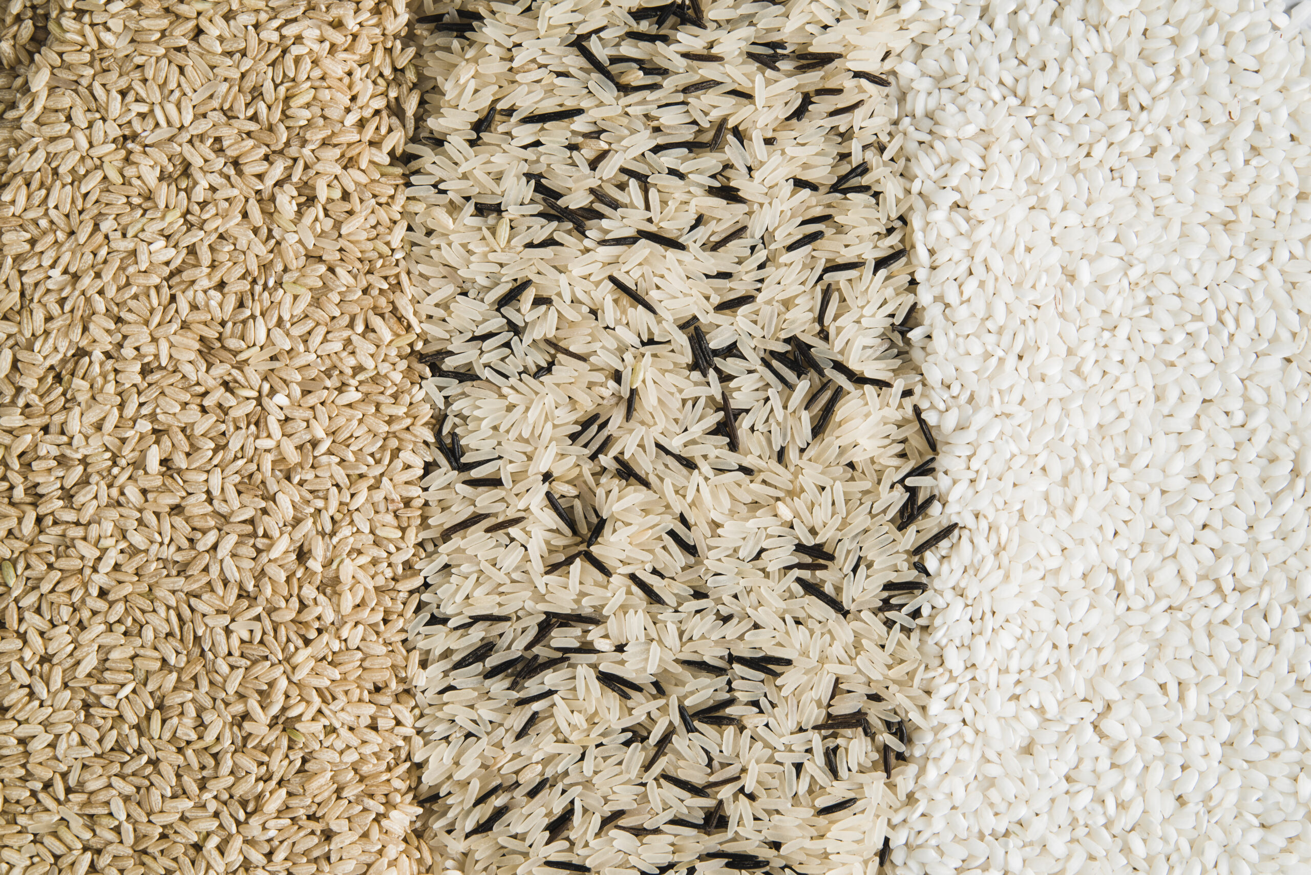 rice exporters in india