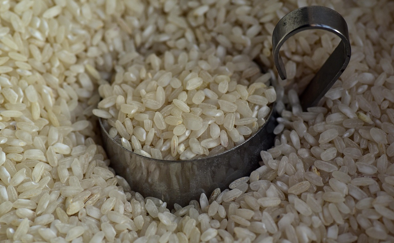 100 % broken rice