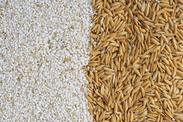 IR64 Broken Rice Exporters in Hyderabad India